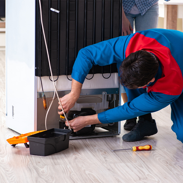 what are the common refrigerator repair services in Alexandria